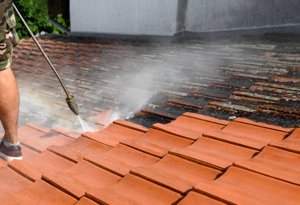 Best Exterior Home Cleaning  in Woodstock, GA